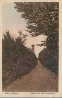 Vietz, Osthbahn : Blick auf den Feuerturm