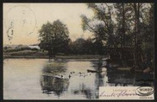 Landsberg a. W. : Partie am Kladowteich