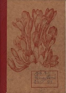 [Dziennik : 19.07.1991 - 24.10.1991]